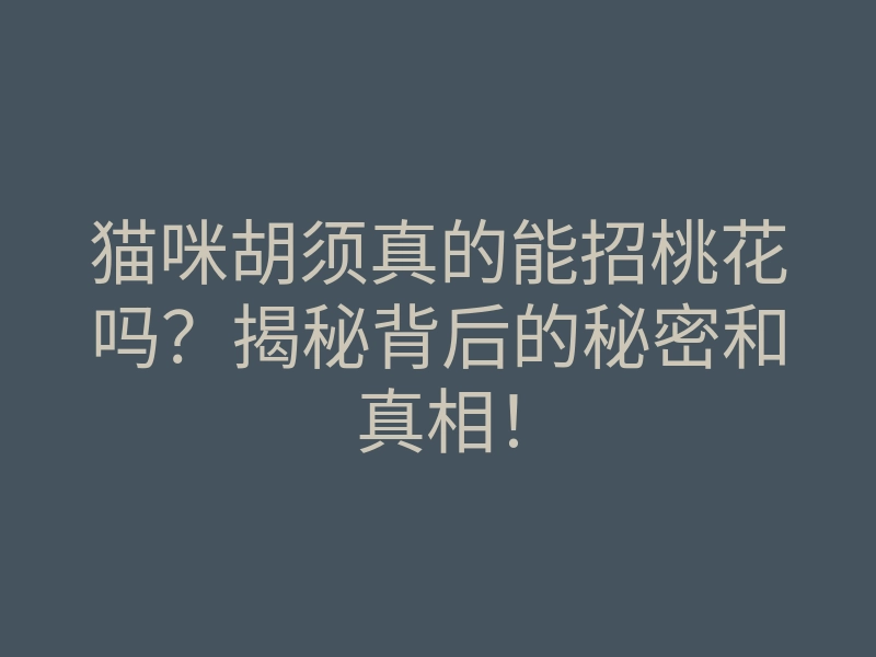 猫咪胡须真的能招桃花吗?揭秘背后的秘密和真相!
