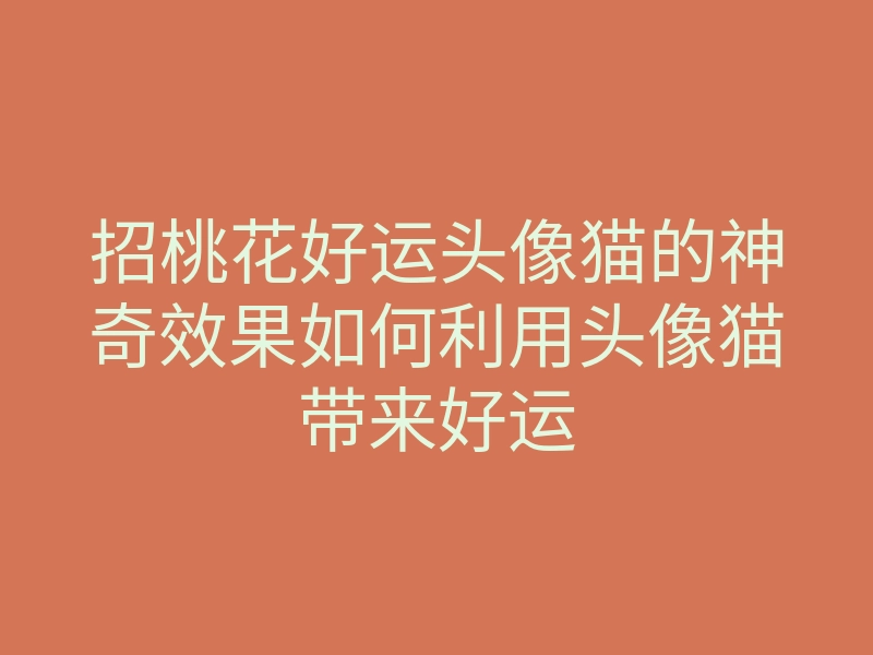 招桃花好运头像猫的神奇效果如何利用头像猫带来好运
