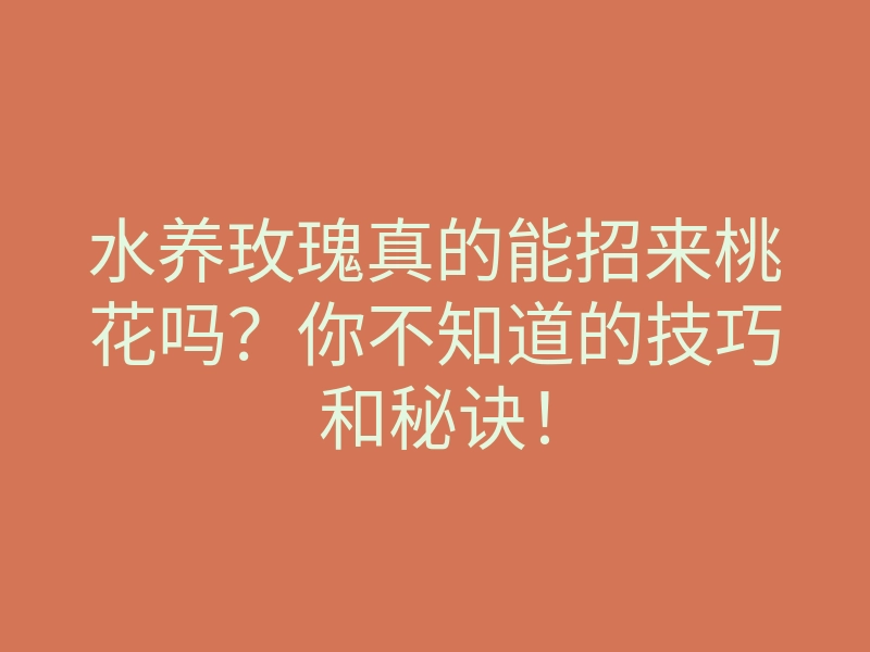水养玫瑰真的能招来桃花吗?你不知道的技巧和秘诀!
