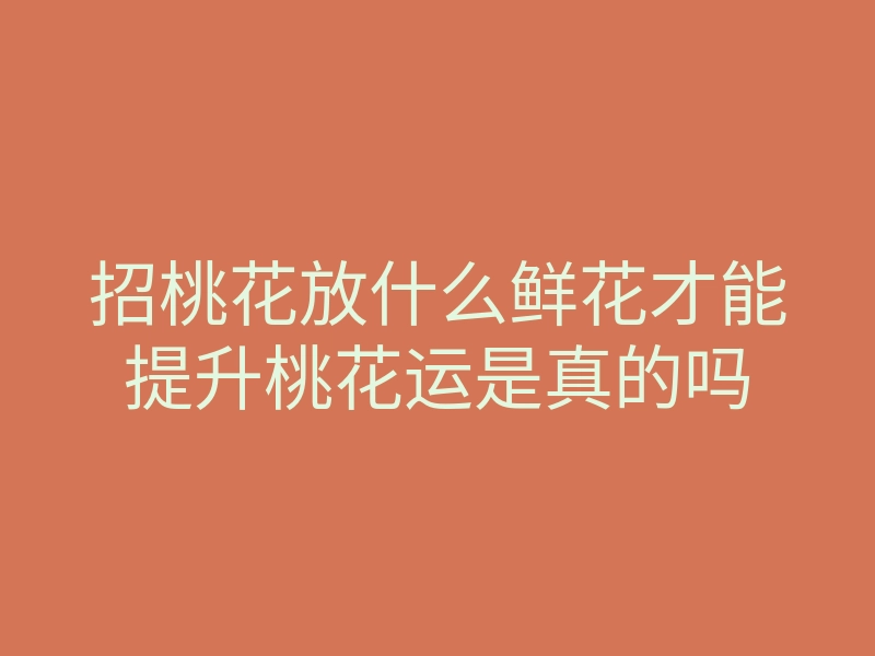 招桃花放什么鲜花才能提升桃花运是真的吗
