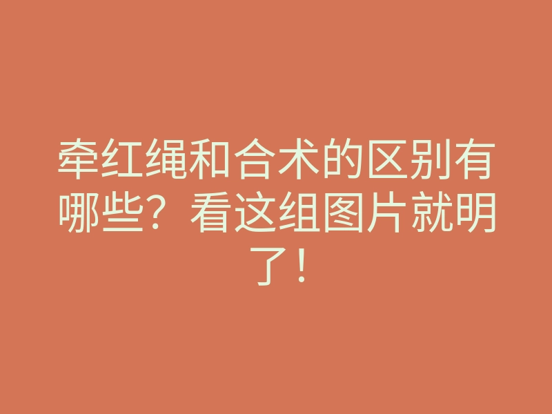 牵红绳和合术的区别有哪些?看这组图片就明了!