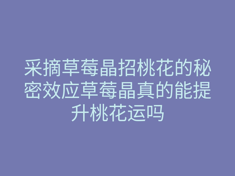 采摘草莓晶招桃花的秘密效应草莓晶真的能提升桃花运吗