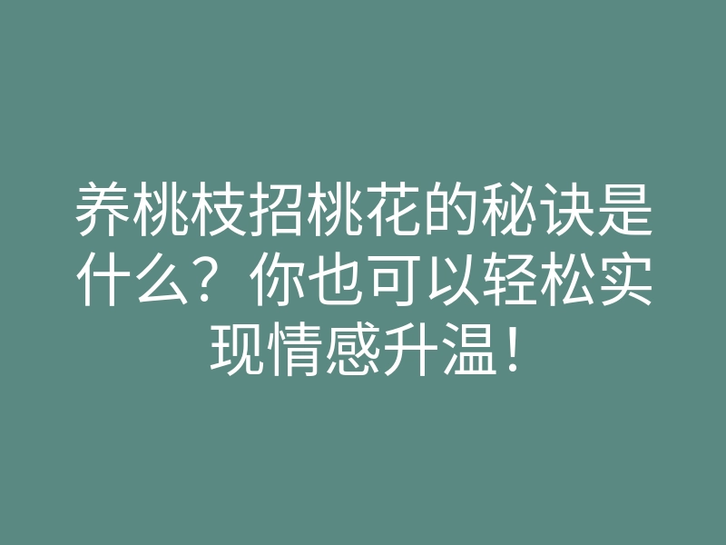 养桃枝招桃花的秘诀是什么?你也可以轻松实现情感升温!