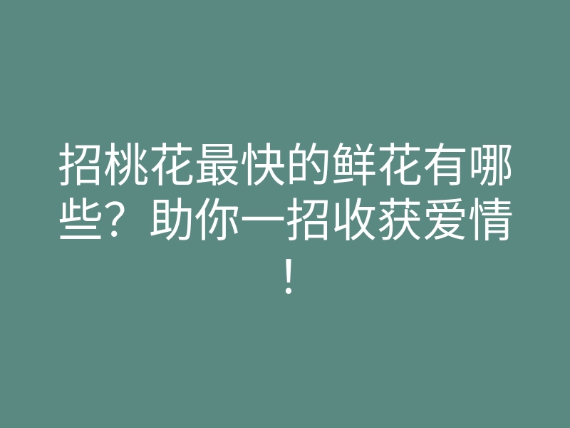 招桃花最快的鲜花有哪些?助你一招收获爱情!