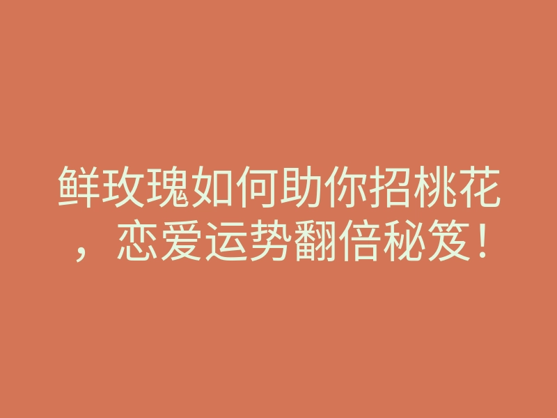 鲜玫瑰如何助你招桃花,恋爱运势翻倍秘笈!