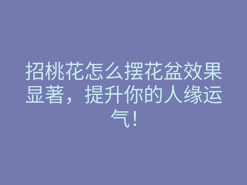 招桃花怎么摆花盆效果显著,提升你的人缘运气!