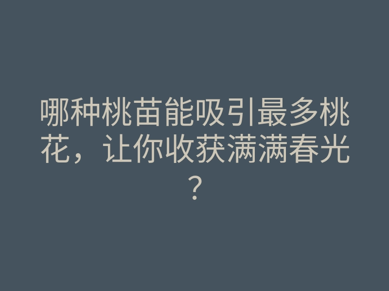 哪种桃苗能吸引最多桃花,让你收获满满春光?