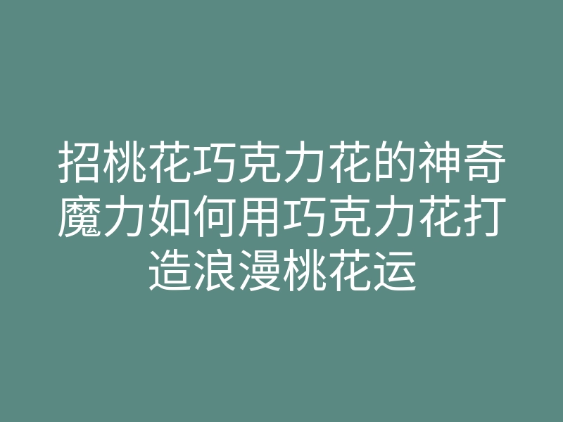 招桃花巧克力花的神奇魔力如何用巧克力花打造浪漫桃花运