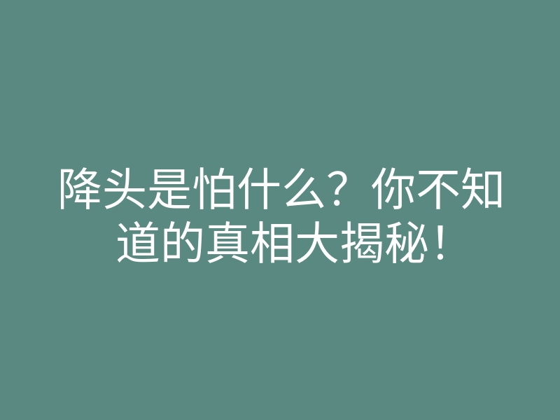 降头是怕什么?你不知道的真相大揭秘!