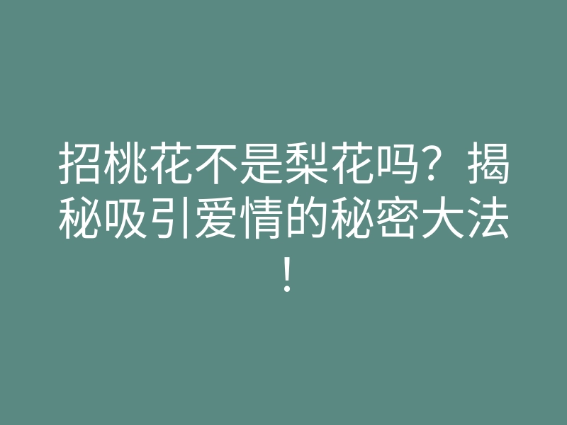招桃花不是梨花吗?揭秘吸引爱情的秘密大法!