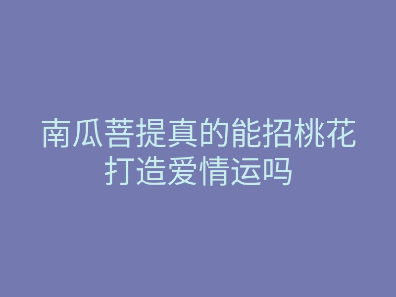 南瓜菩提真的能招桃花打造爱情运吗