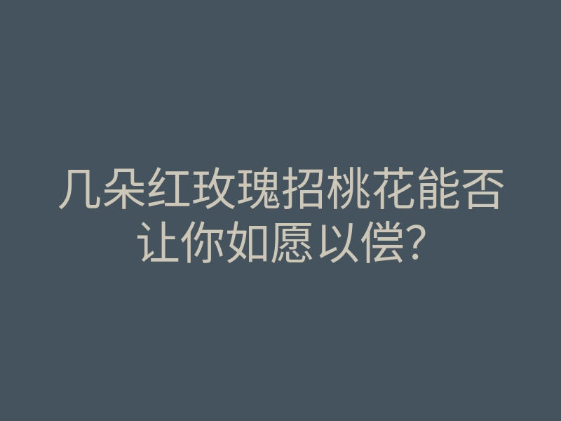 几朵红玫瑰招桃花能否让你如愿以偿?