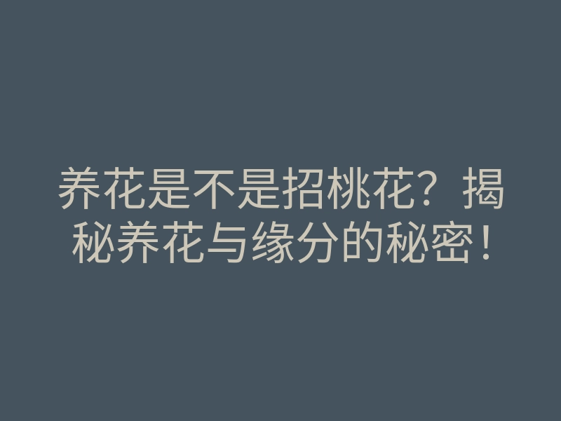 养花是不是招桃花？揭秘养花与缘分的秘密！
