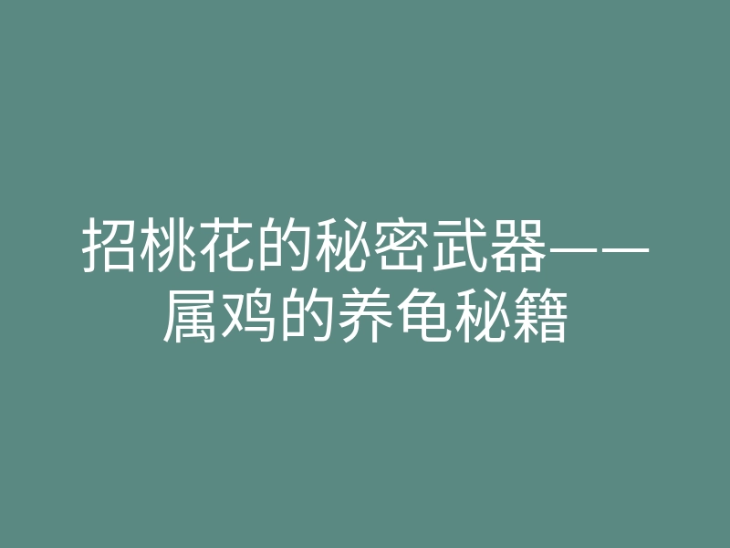 招桃花的秘密武器——属鸡的养龟秘籍