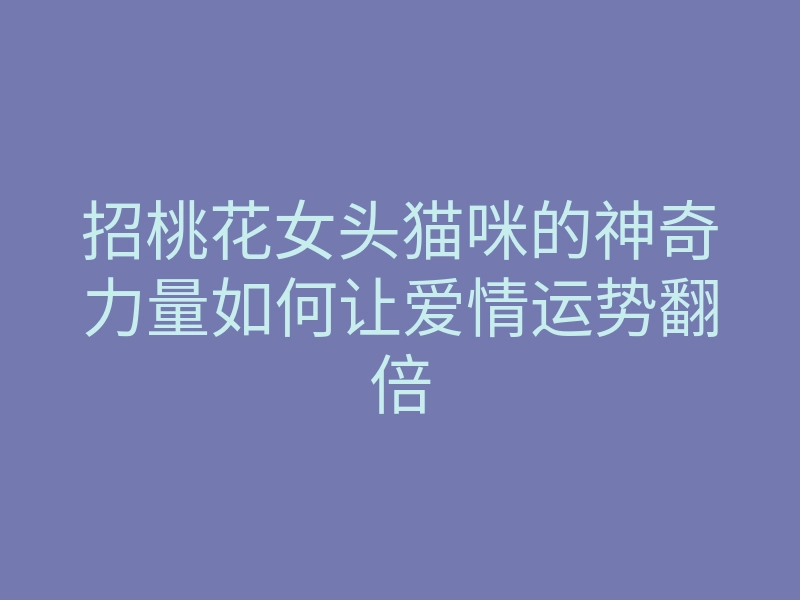 招桃花女头猫咪的神奇力量如何让爱情运势翻倍