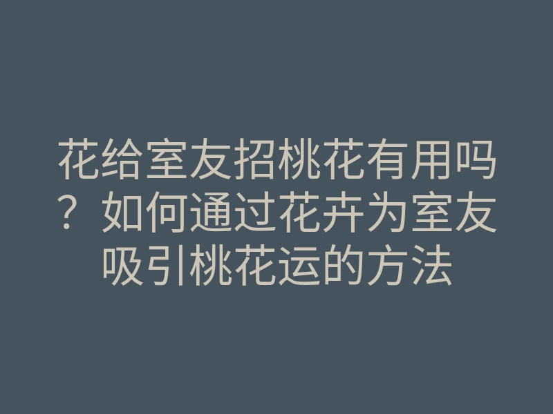 花给室友招桃花有用吗?如何通过花卉为室友吸引桃花运的方法