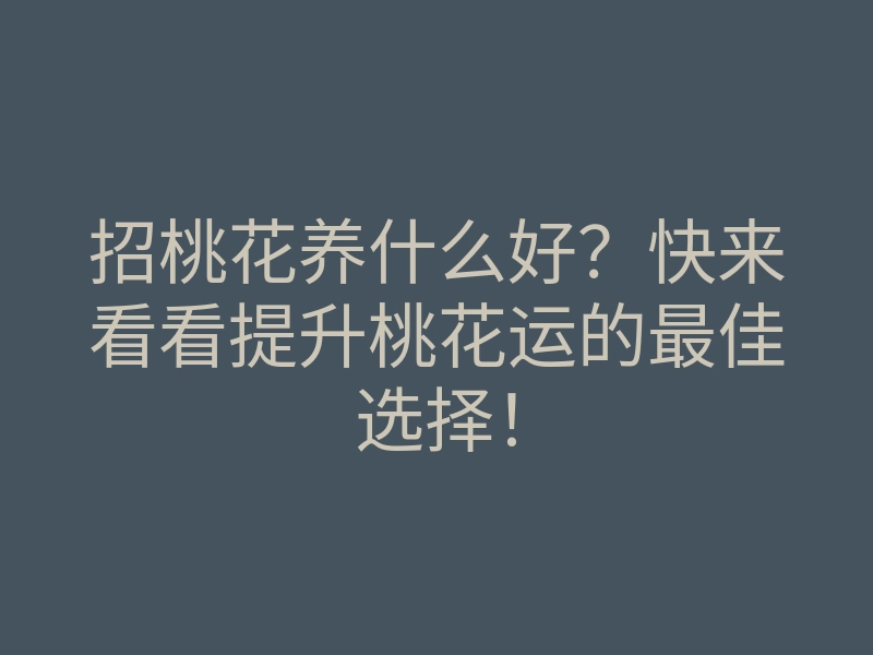 招桃花养什么好?快来看看提升桃花运的最佳选择!