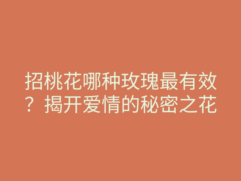 招桃花哪种玫瑰最有效?揭开爱情的秘密之花