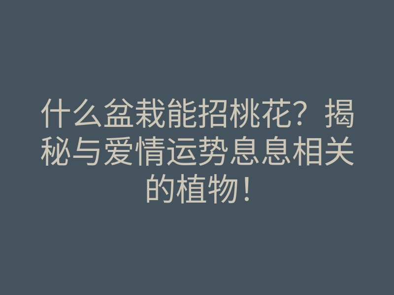 什么盆栽能招桃花?揭秘与爱情运势息息相关的植物!