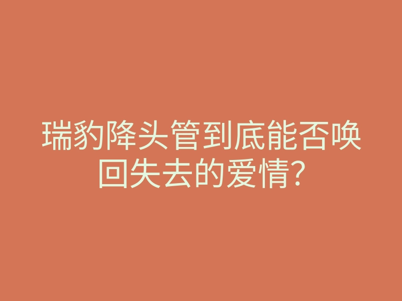 瑞豹降头管到底能否唤回失去的爱情?