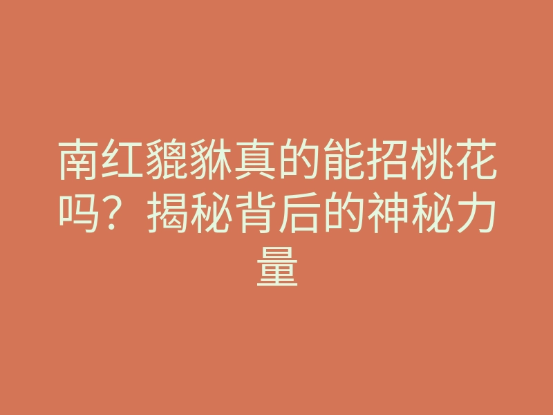 南红貔貅真的能招桃花吗?揭秘背后的神秘力量