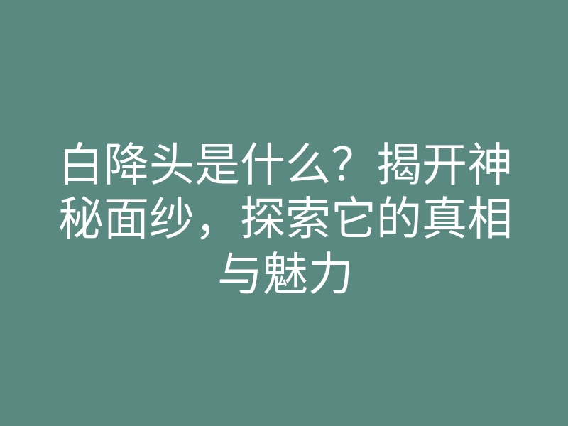 白降头是什么？揭开神秘面纱，探索它的真相与魅力