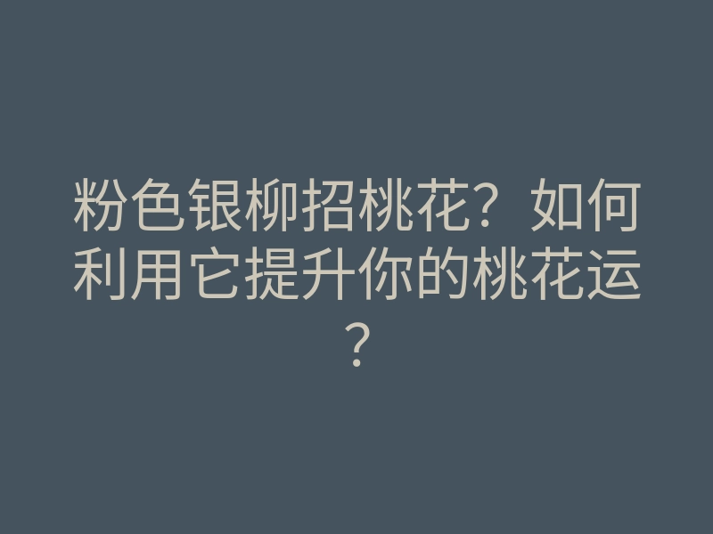 粉色银柳招桃花?如何利用它提升你的桃花运?