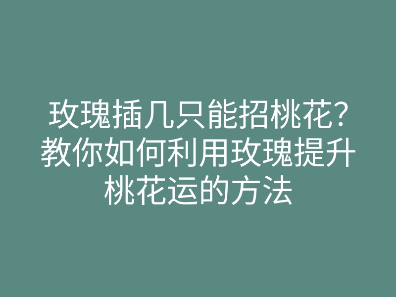 玫瑰插几只能招桃花？教你如何利用玫瑰提升桃花运的方法