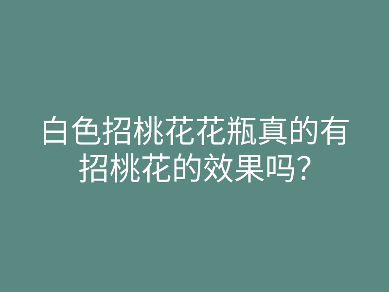 白色招桃花花瓶真的有招桃花的效果吗?