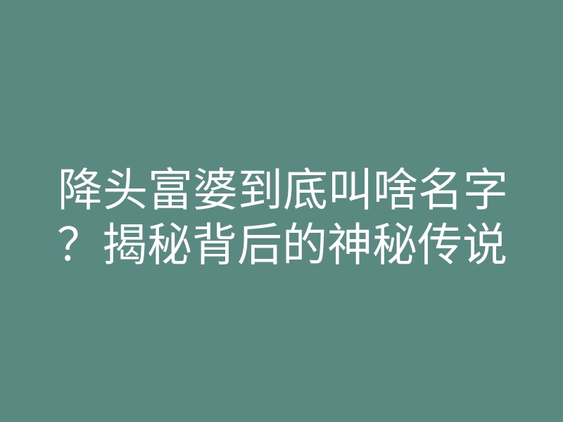 降头富婆到底叫啥名字?揭秘背后的神秘传说