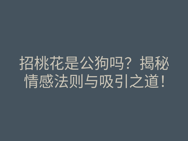 招桃花是公狗吗？揭秘情感法则与吸引之道！
