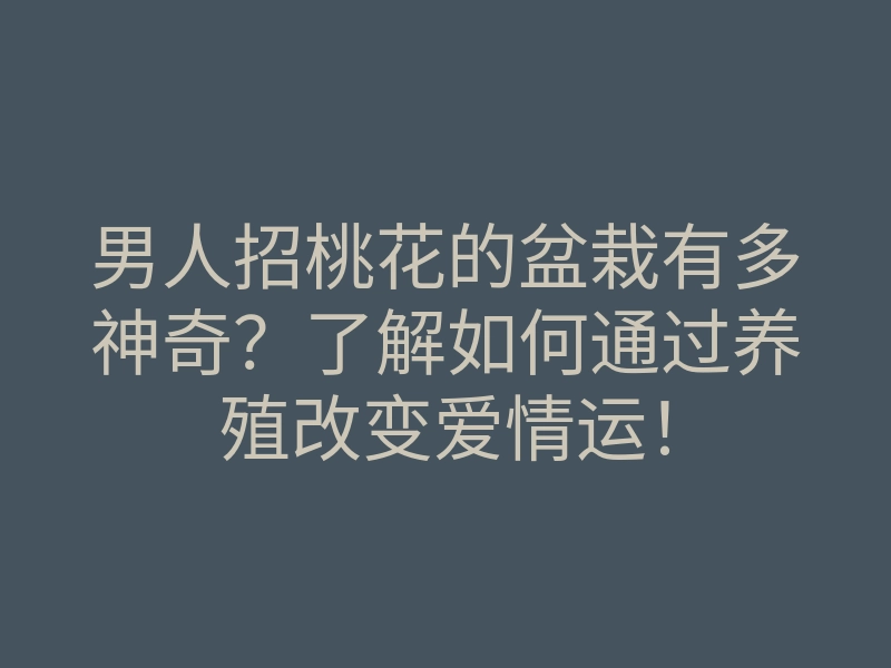 男人招桃花的盆栽有多神奇?了解如何通过养殖改变爱情运!