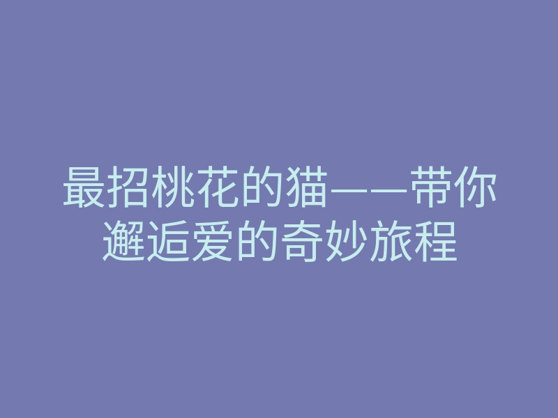最招桃花的猫——带你邂逅爱的奇妙旅程