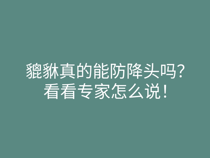 貔貅真的能防降头吗？看看专家怎么说！