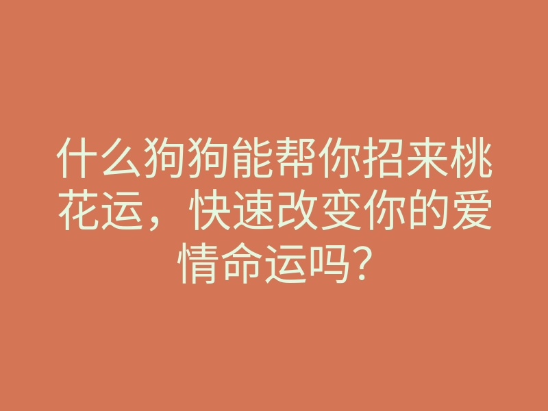 什么狗狗能帮你招来桃花运,快速改变你的爱情命运吗?
