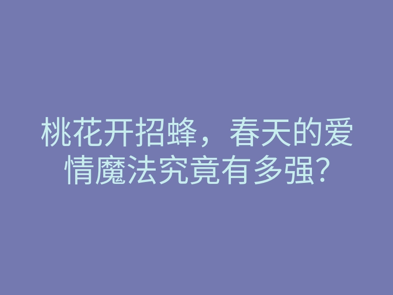 桃花开招蜂，春天的爱情魔法究竟有多强？