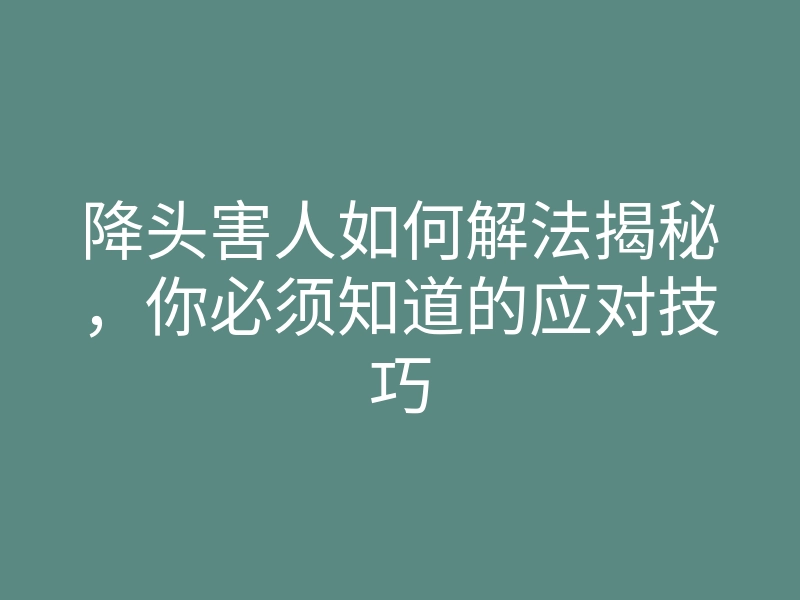 降头害人如何解法揭秘,你必须知道的应对技巧