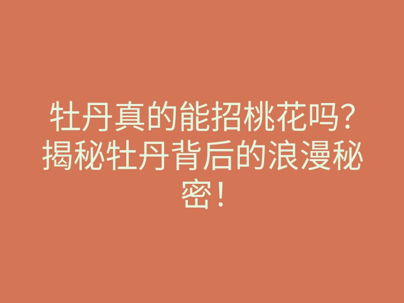 牡丹真的能招桃花吗?揭秘牡丹背后的浪漫秘密!