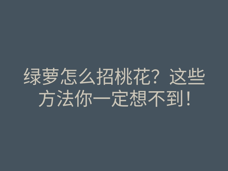 绿萝怎么招桃花?这些方法你一定想不到!