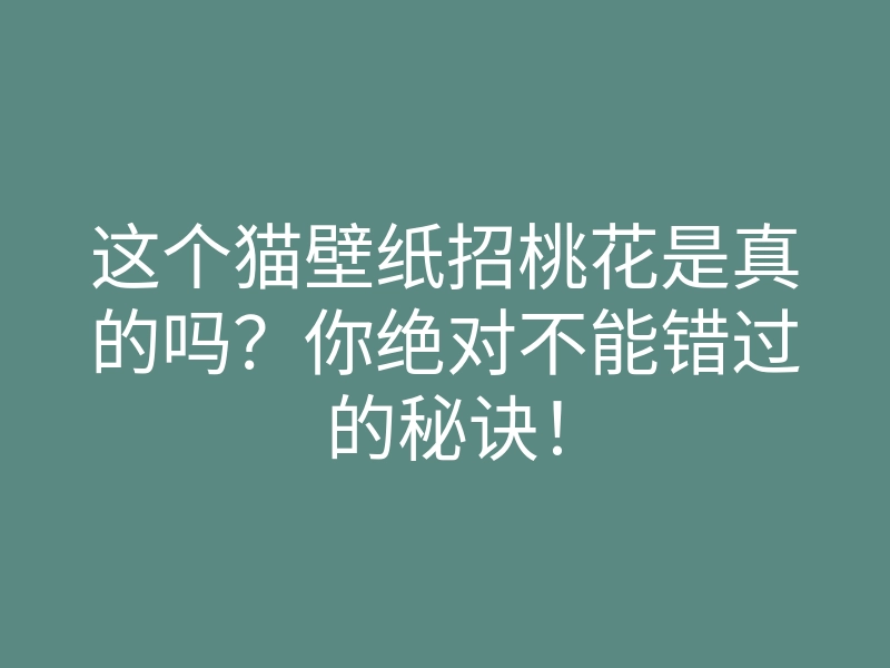 这个猫壁纸招桃花是真的吗?你绝对不能错过的秘诀!