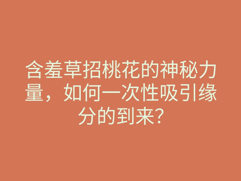 含羞草招桃花的神秘力量,如何一次性吸引缘分的到来?