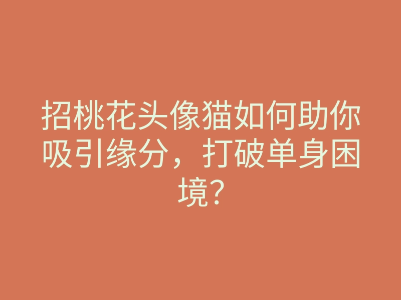 招桃花头像猫如何助你吸引缘分,打破单身困境?