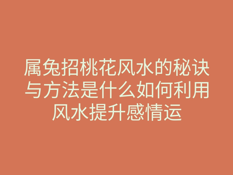 属兔招桃花风水的秘诀与方法是什么如何利用风水提升感情运
