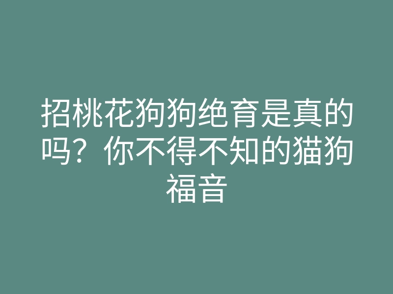 招桃花狗狗绝育是真的吗?你不得不知的猫狗福音