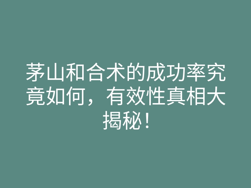茅山和合术的成功率究竟如何,有效性真相大揭秘!