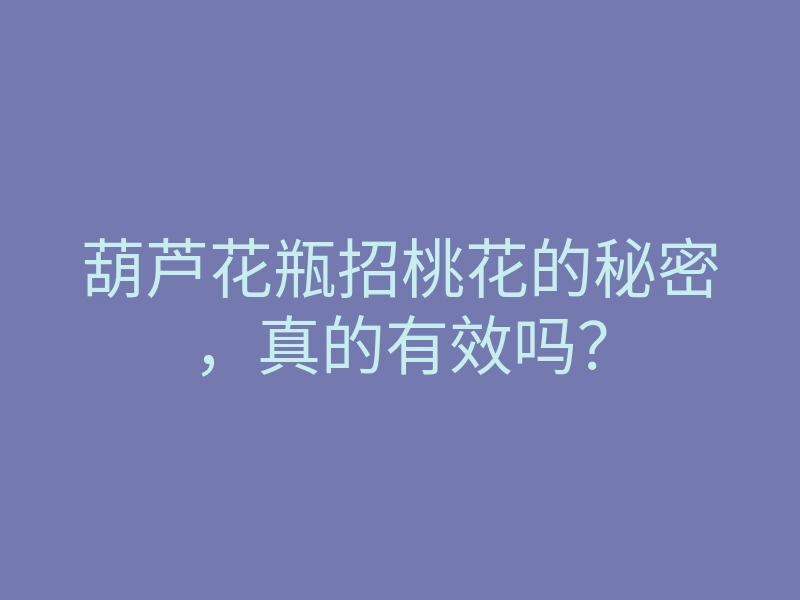 葫芦花瓶招桃花的秘密,真的有效吗?