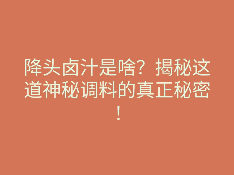 降头卤汁是啥?揭秘这道神秘调料的真正秘密!