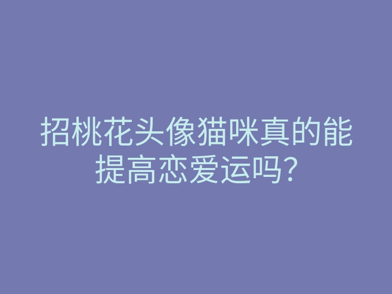 招桃花头像猫咪真的能提高恋爱运吗？