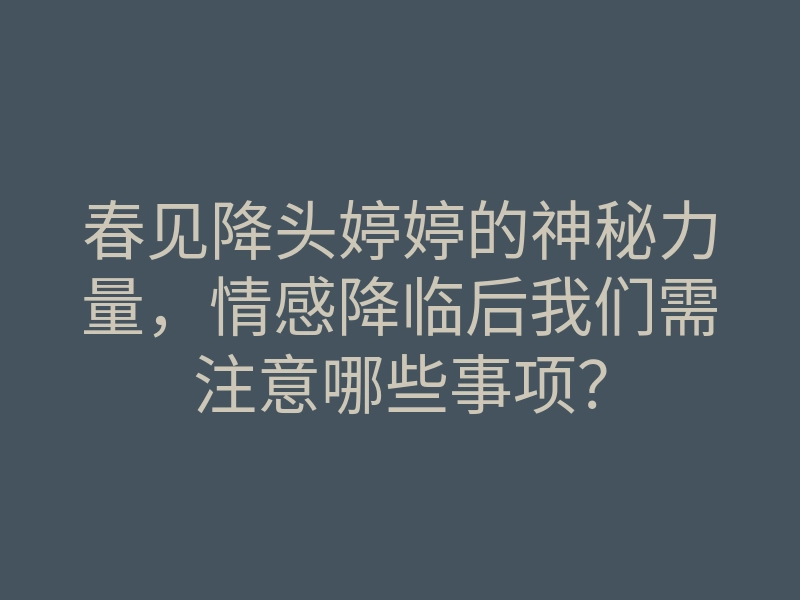 春见降头婷婷的神秘力量,情感降临后我们需注意哪些事项?