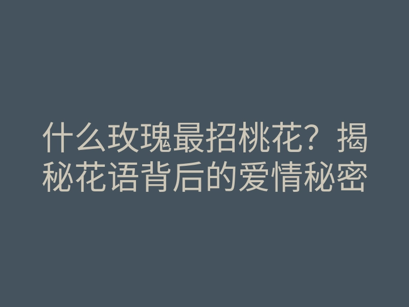 什么玫瑰最招桃花?揭秘花语背后的爱情秘密